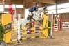 Beispielfoto vom Springen des U25 LPO Hallenturniers in Schwerte